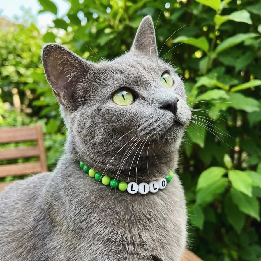 Nos produits pour chats Image