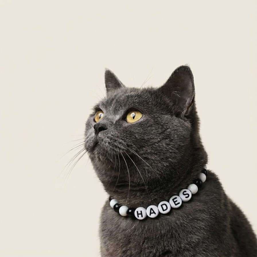 Collier unique pour chat avec son nom - Dark