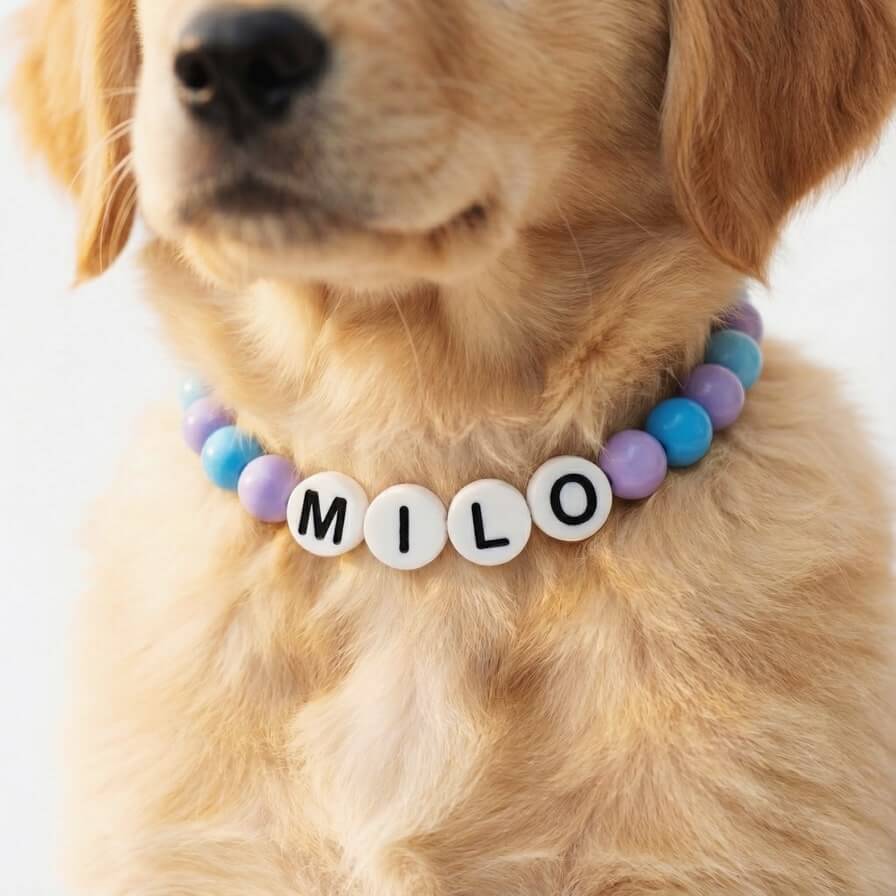 Collier unique pour chien avec son nom - Pastel Cloud