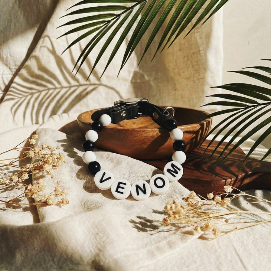 Collier unique pour chien avec son nom - Dark
