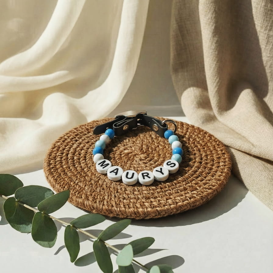 Collier unique pour chien avec son nom - Sky