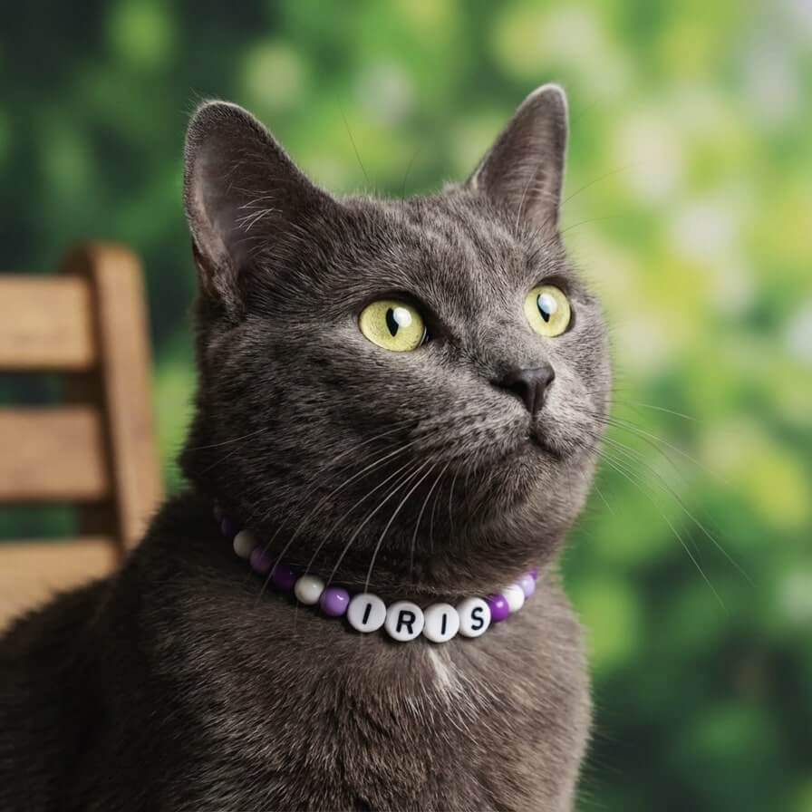 Collier unique pour chat avec son nom - Lila