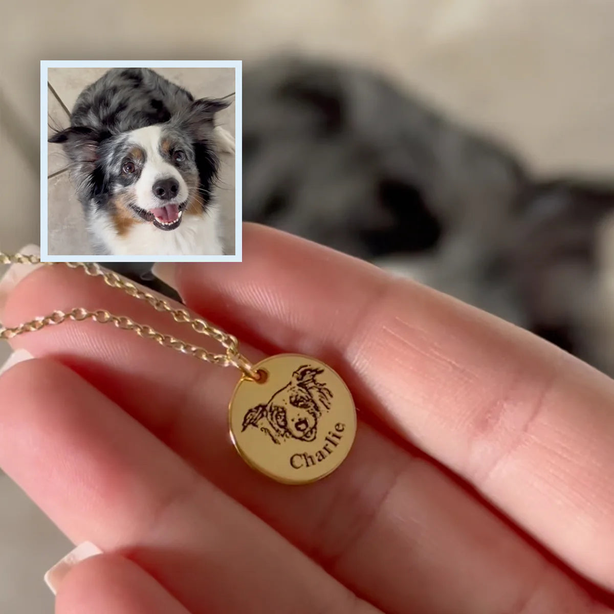 Collier Portrait Animal