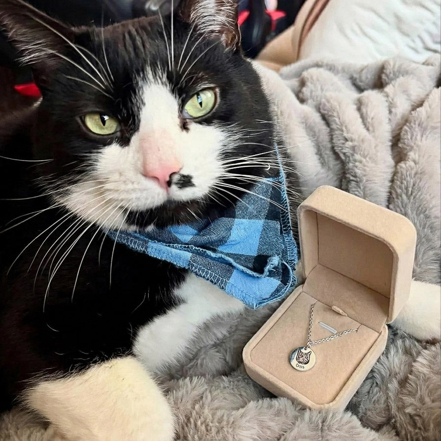 Collier Portrait Animal