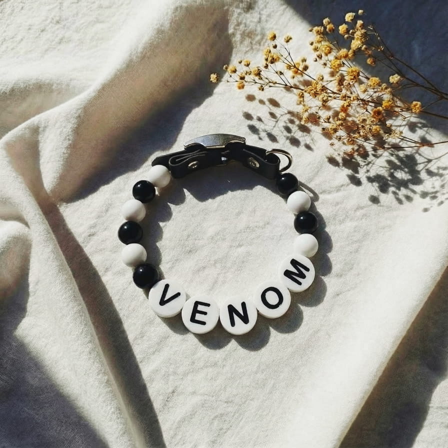 Collier unique pour chien avec son nom - Dark