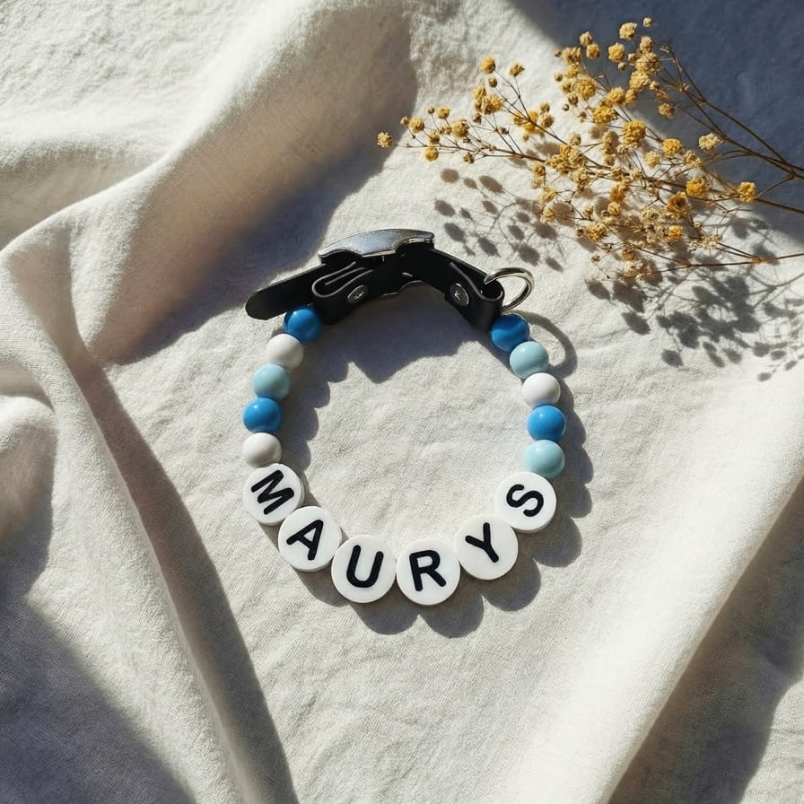 Collier unique pour chien avec son nom - Sky