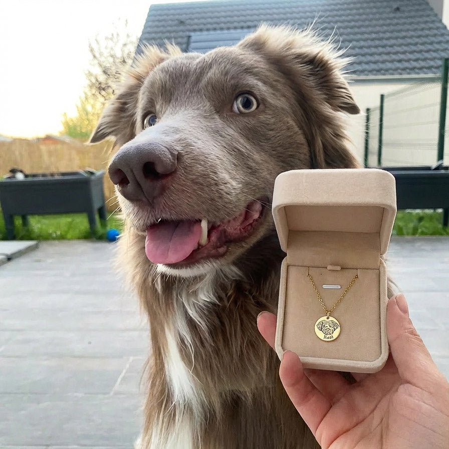 Collier Portrait Animal
