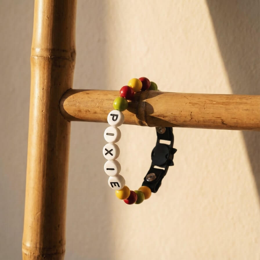 Collier unique pour chat avec son nom - Pumpkin Spice