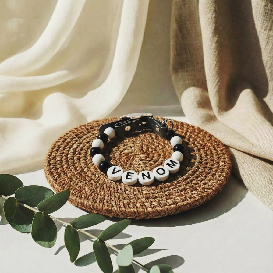 Collier unique pour chien avec son nom - Dark
