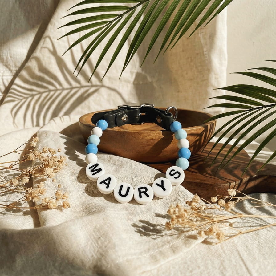 Collier unique pour chien avec son nom - Sky