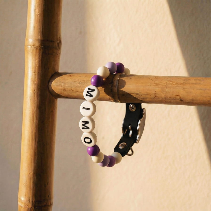 Collier unique pour chien avec son nom - Lila