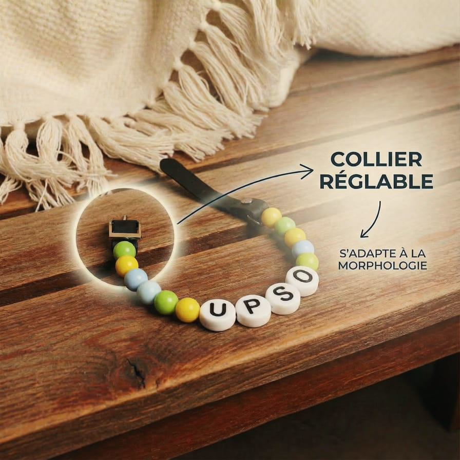 Collier unique pour chien avec son nom - Bloomy