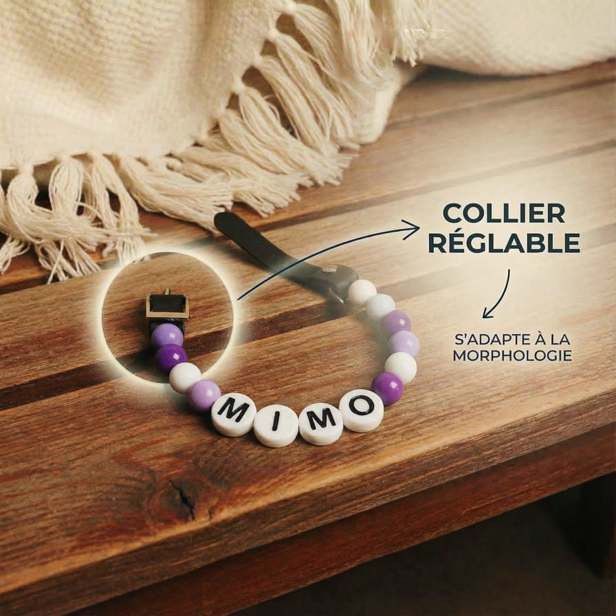 Collier unique pour chien avec son nom - Lila