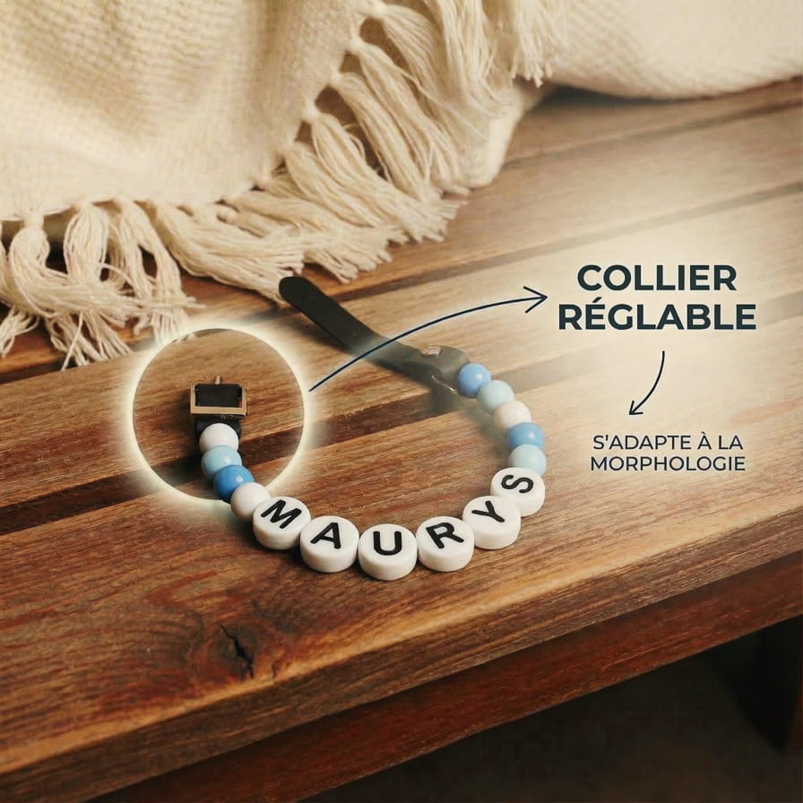 Collier unique pour chien avec son nom - Sky