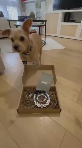 Vidéo