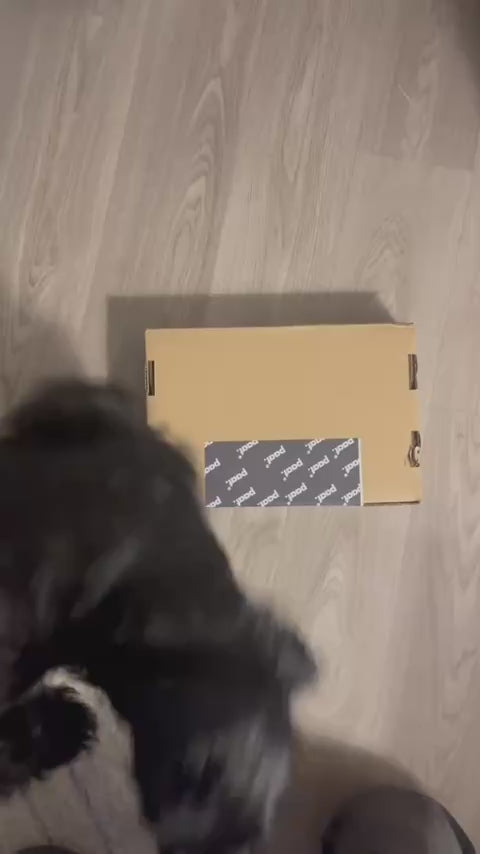 Vidéo